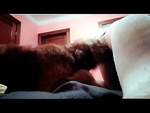 Zoofilia extrema con perro: !se folla a un perro grande!